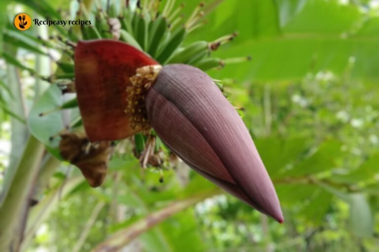 Banana Tree Flower Recipe